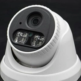 دوربین دام مدل AC-DH2220-DSCA/28 برند آلباترون
